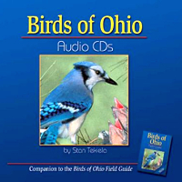 Bird Call Identification